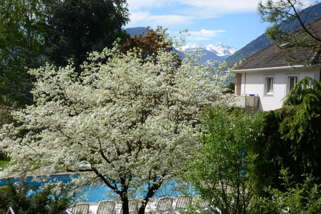 Hotel Tannerhof メラーノ エクステリア 写真